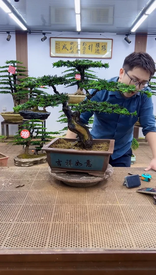 无花朵一物一拍，所见即所得