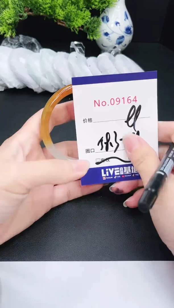 未镶嵌手镯翡翠9164