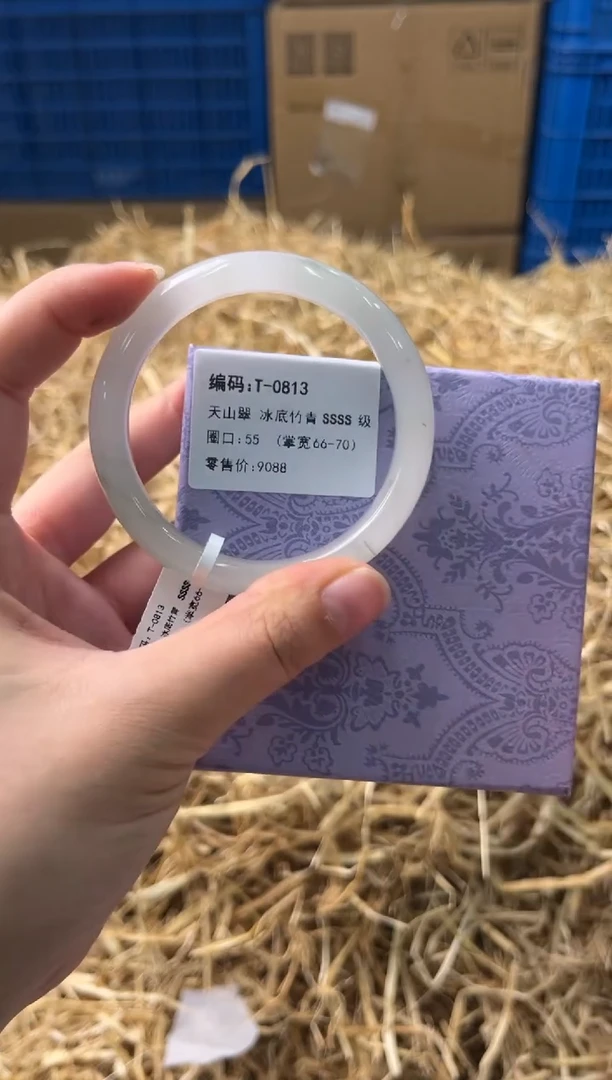 未镶嵌手镯石英质玉T-0813