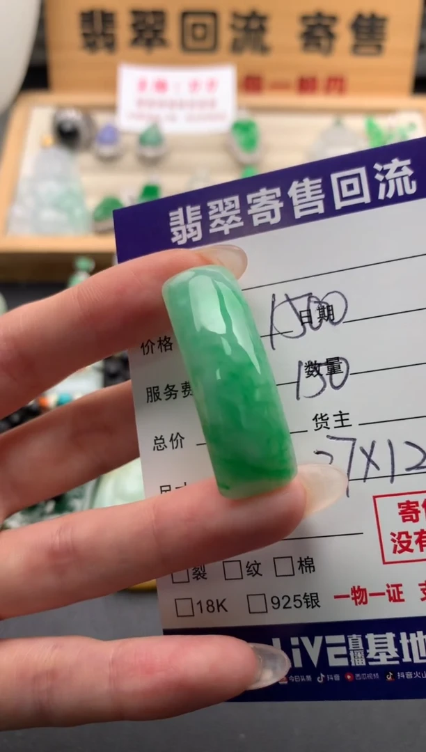 翡翠未镶嵌颈饰10134515
