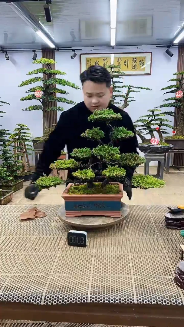 【闪购商品】00000000