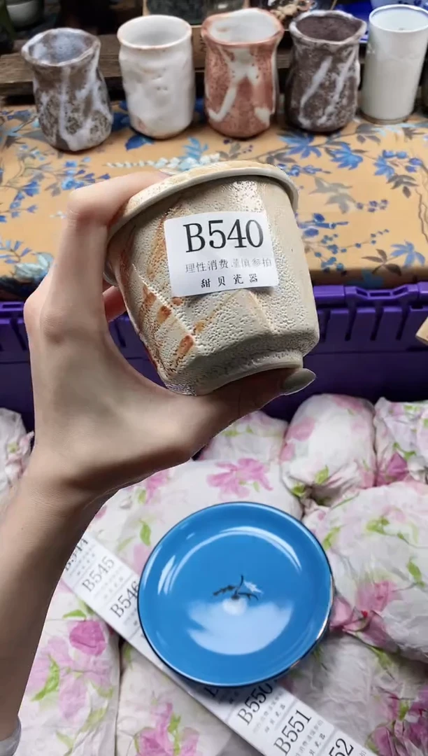 瓷片漫**别                B540