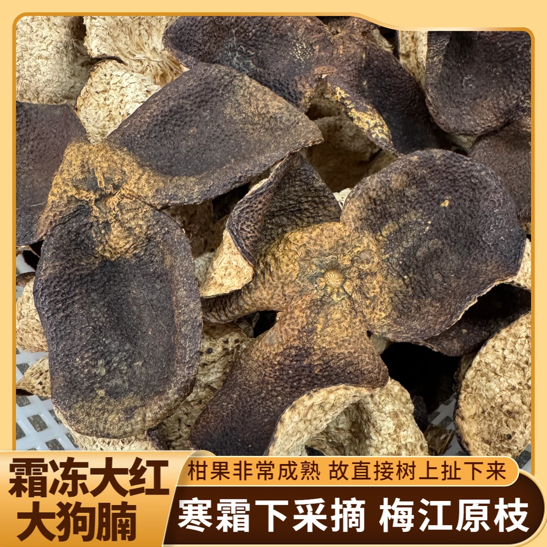【霜冻大狗腩】梅江原枝大红皮 树扯整片 甜香糯香生晒陈皮