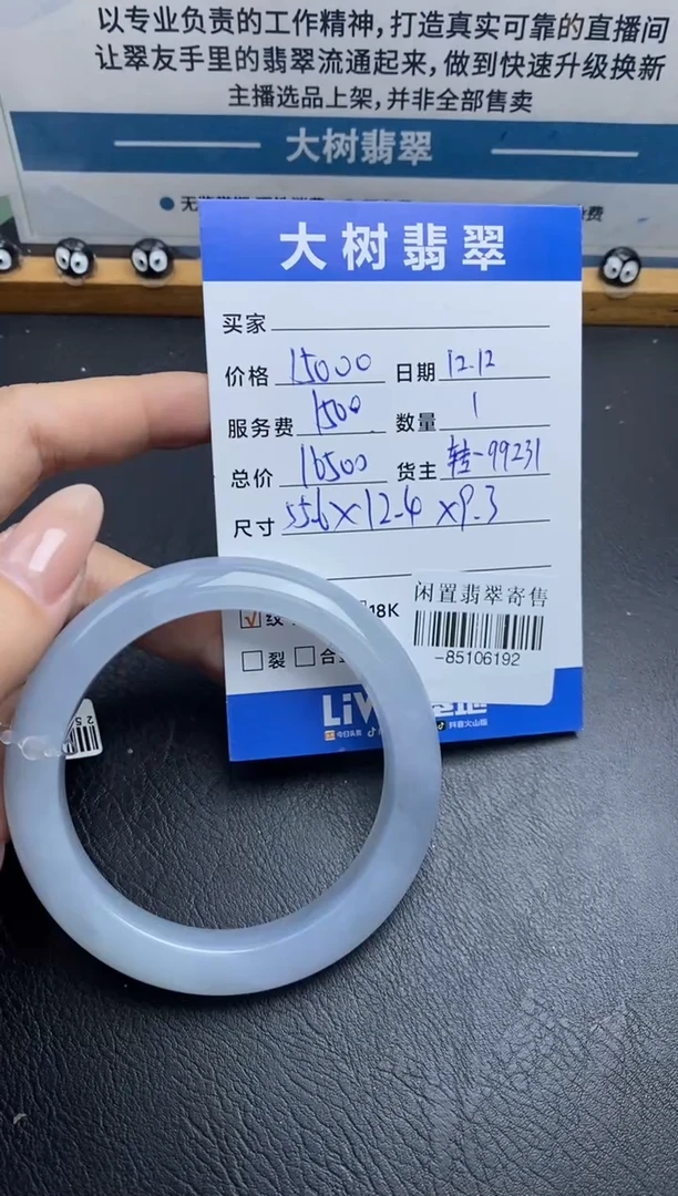 未镶嵌手镯翡翠多人-85106192