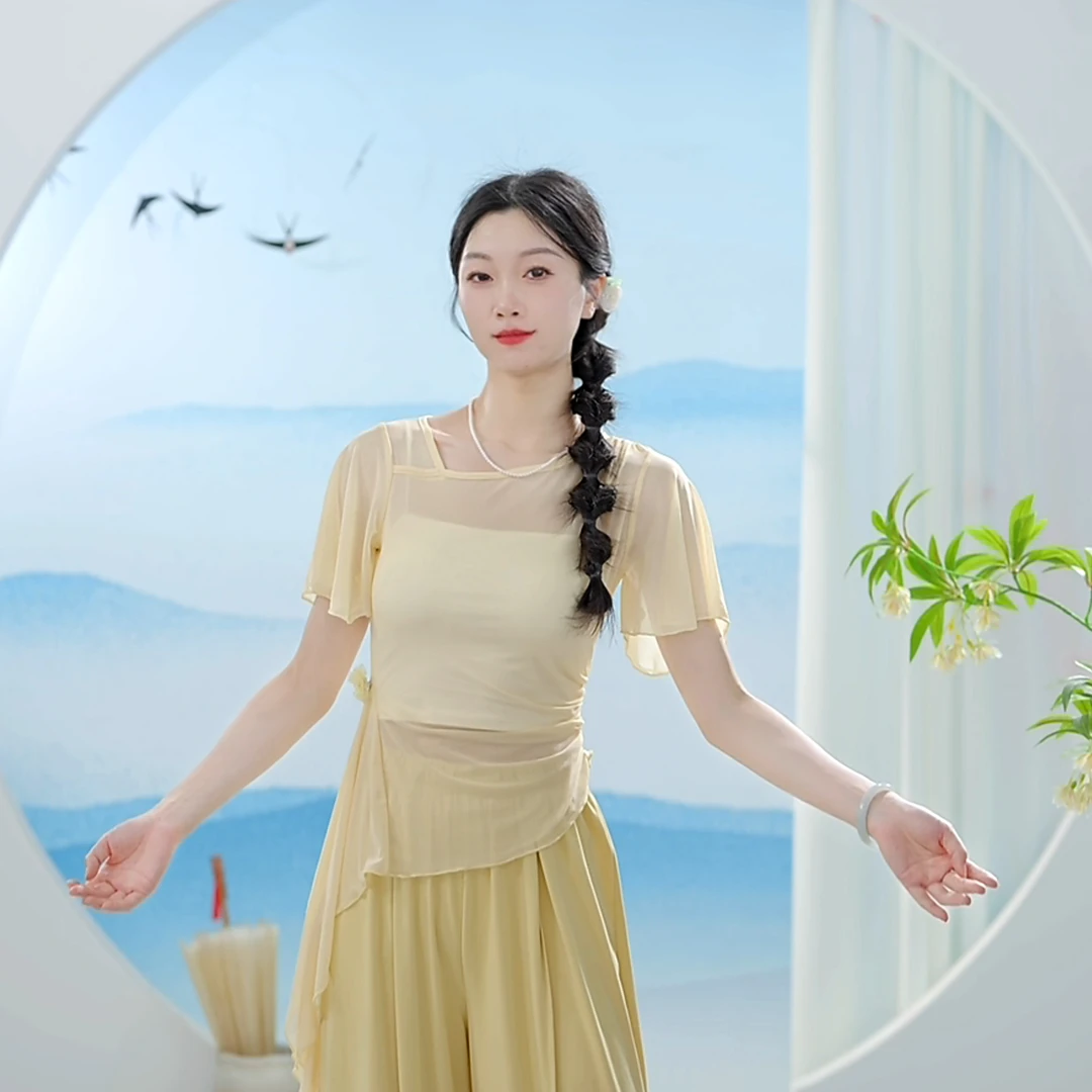 3592 D舞蹈服女现代形体练功跳舞专用成人日常短袖纱衣