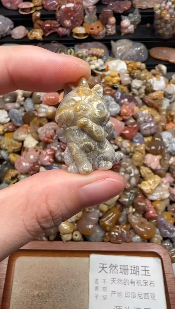 硅化珊瑚（珊瑚玉）未镶嵌颈饰783