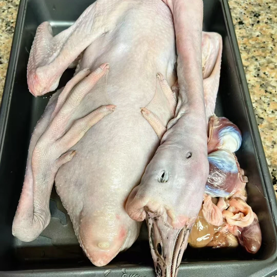 安徽农家散养大鹅肉