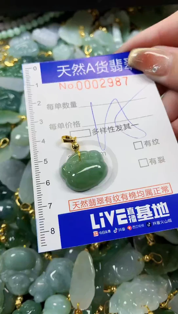颈饰未镶嵌翡翠天然A货翡翠