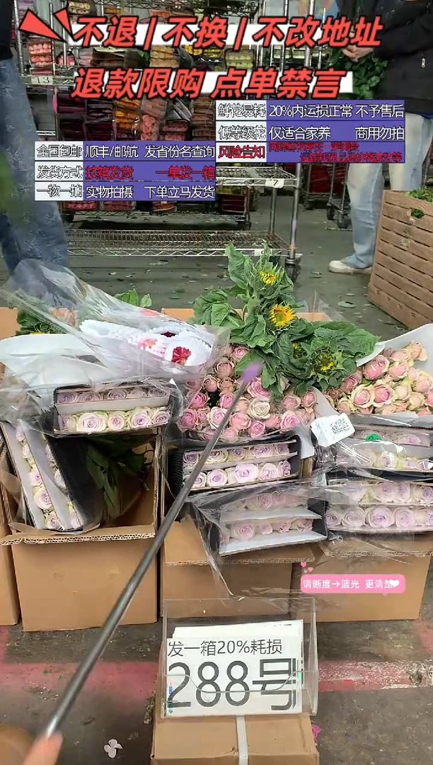 288号♥含20%耗损发一箱