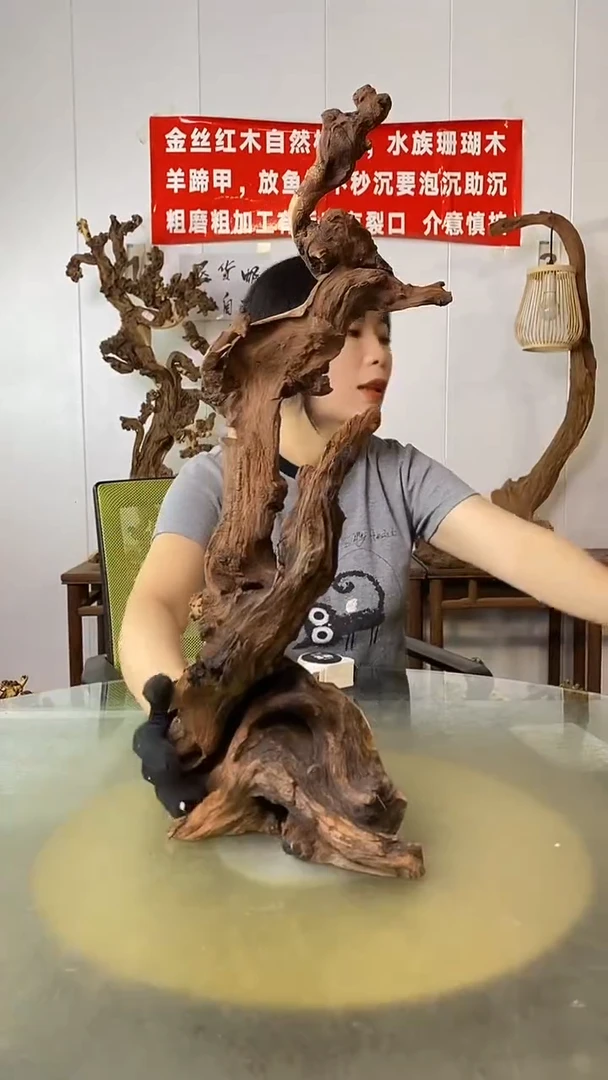 香榧木江**鸟金丝红木 羊蹄甲