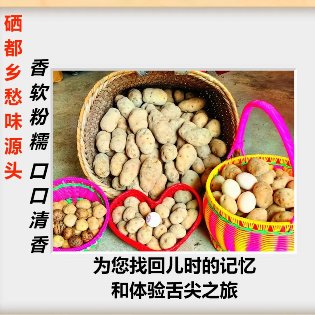 恩施网红正宗马尔科小土豆  农户种植源头  粉糯绵密