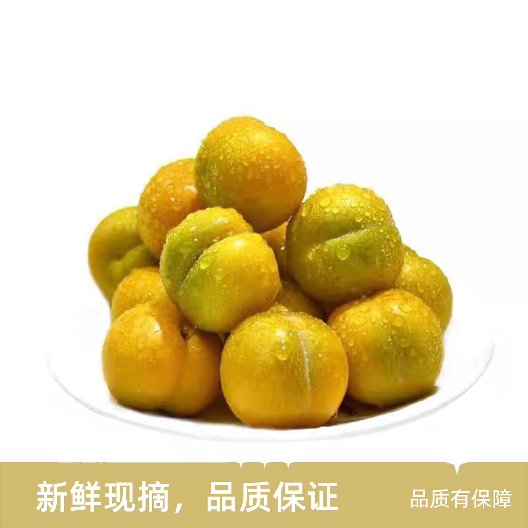 【水果】黄金蜜李