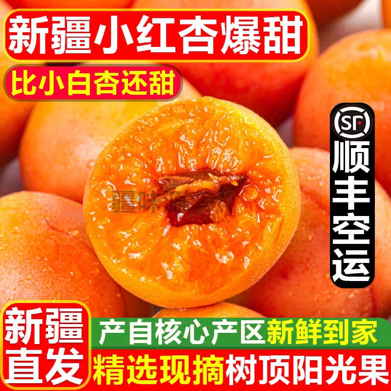 【现货树尖果头茬】新疆小红杏吊干杏新鲜应季香甜多汁孕妇水果现摘