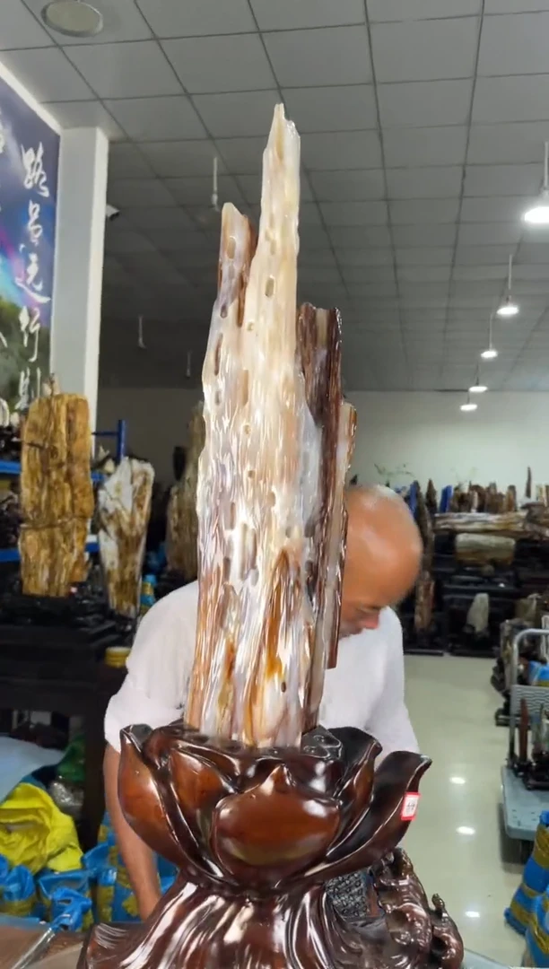未镶嵌摆件硅化玉30