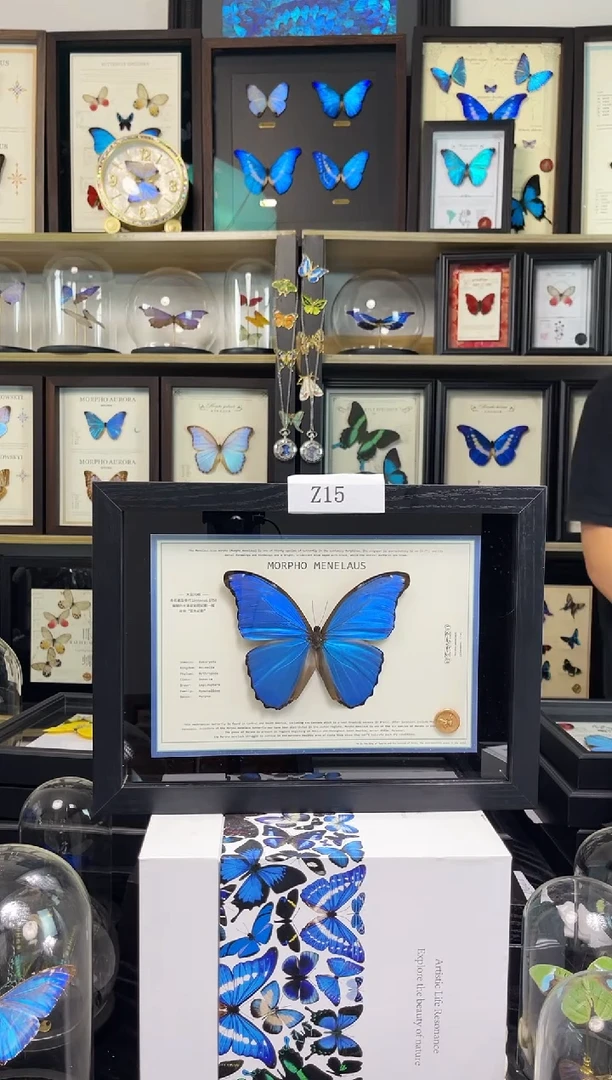 大蓝闪蝶A4悬浮设计款 Z15