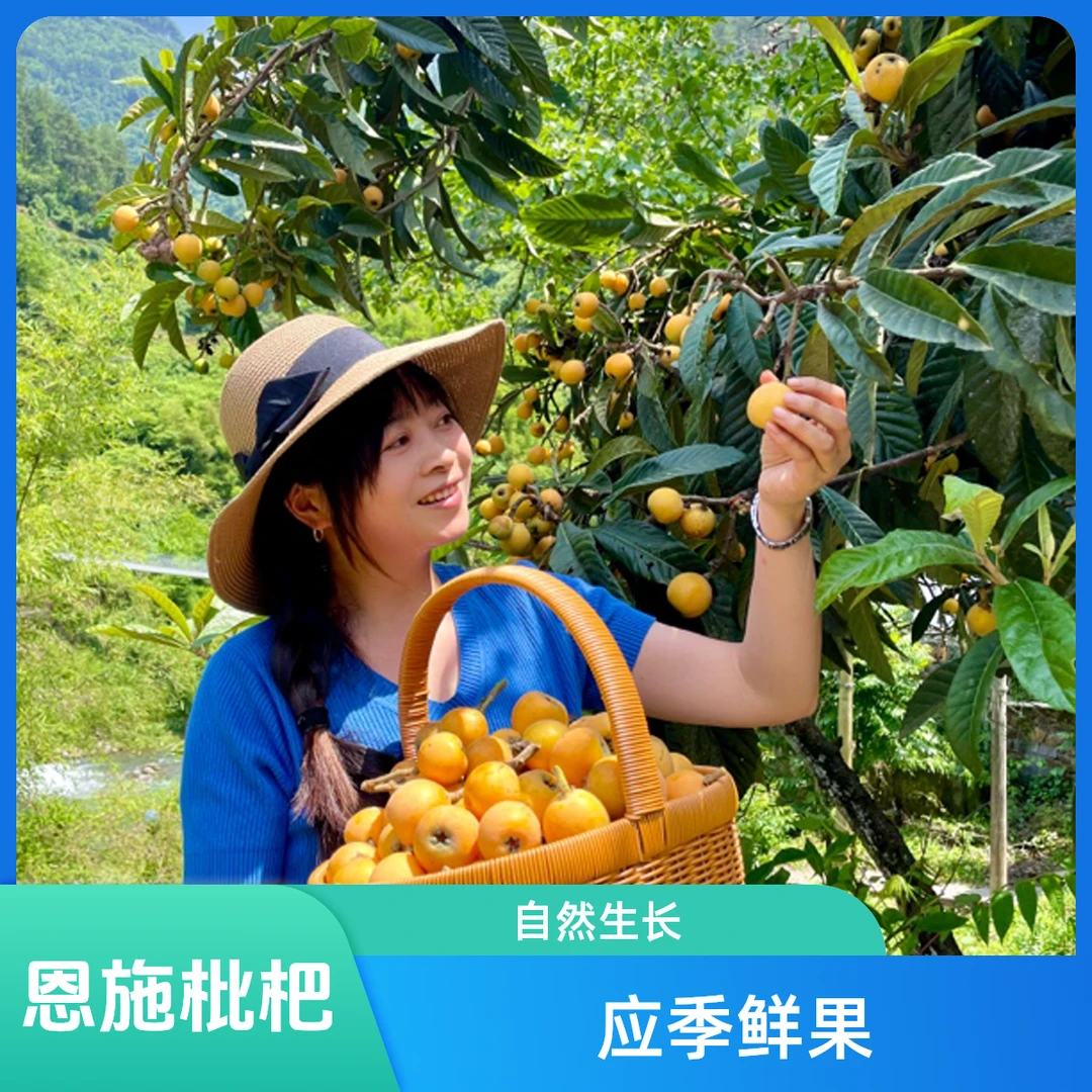 恩施农家露天自然生长枇杷新鲜现摘现发应季水果5斤包邮