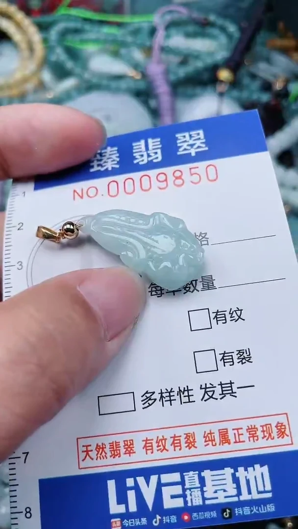 颈饰未镶嵌翡翠.0009850