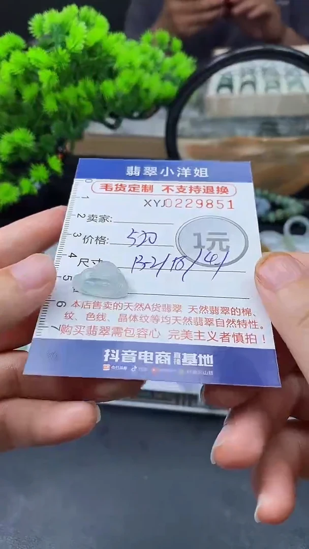 定制翡翠未镶嵌毛货不退不换/9851