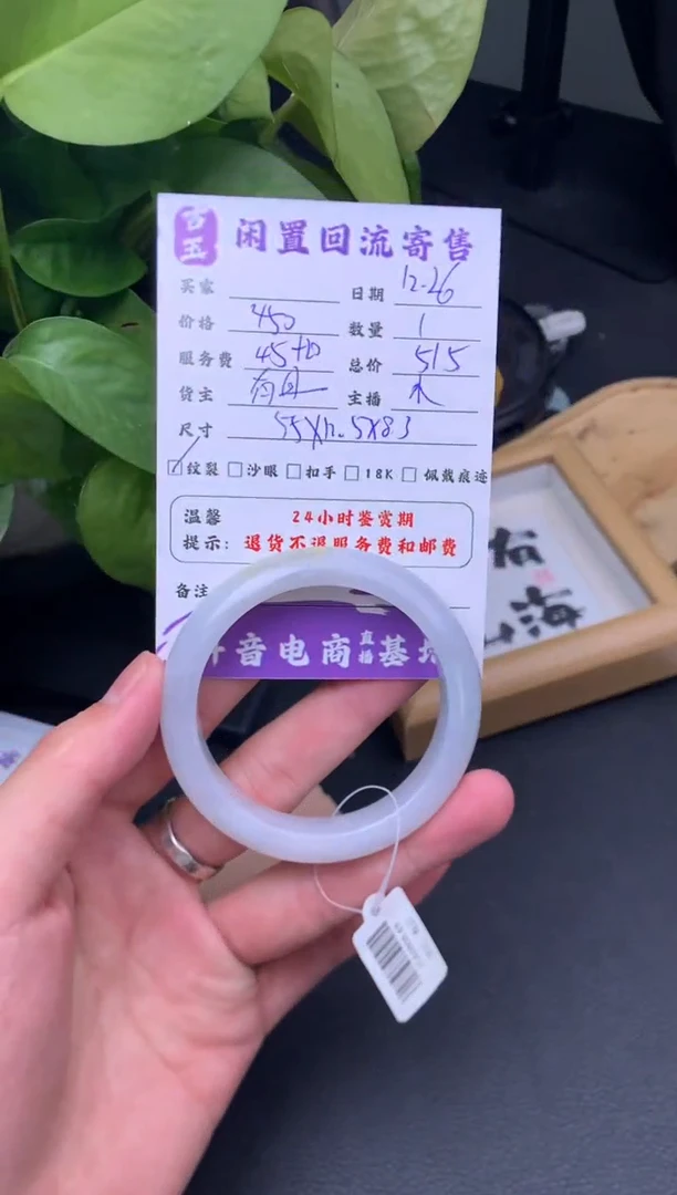 未镶嵌手镯翡翠手镯