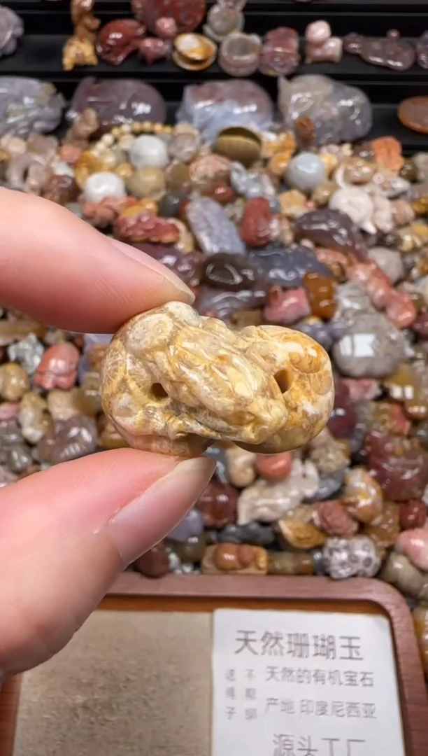 硅化珊瑚（珊瑚玉）未镶嵌颈饰069