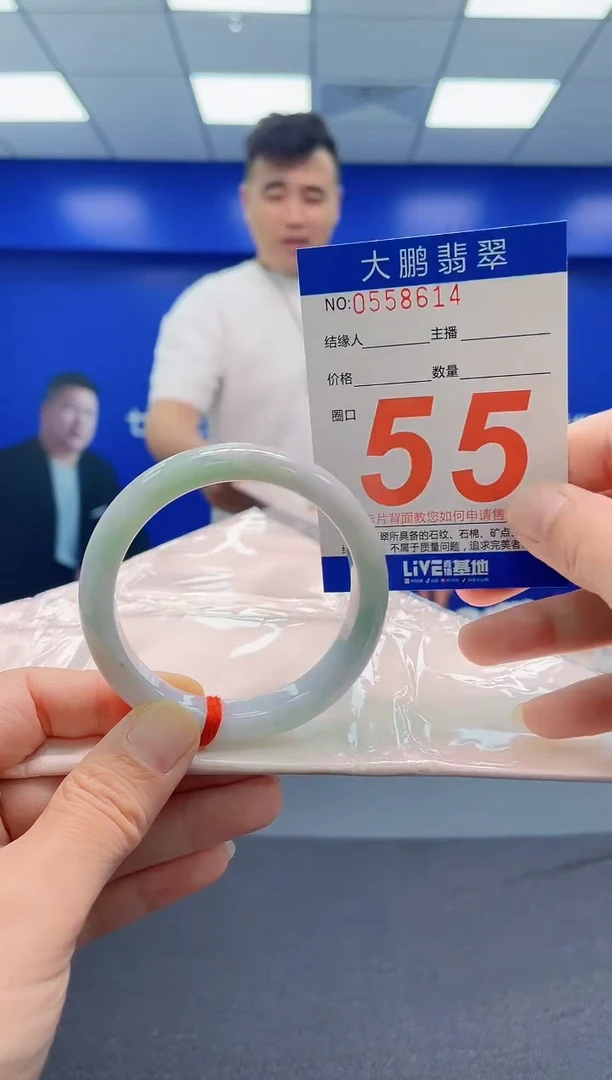 未镶嵌手镯翡翠AAAAAAAAA