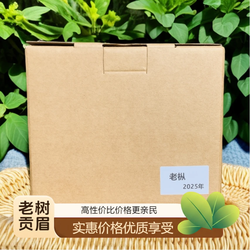 [老枞]福鼎白茶 2025年老树贡眉 福鼎群体种小菜茶 管阳高山茶