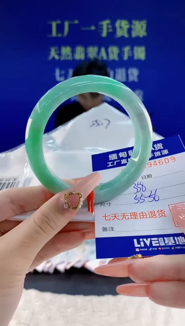未镶嵌手镯翡翠09