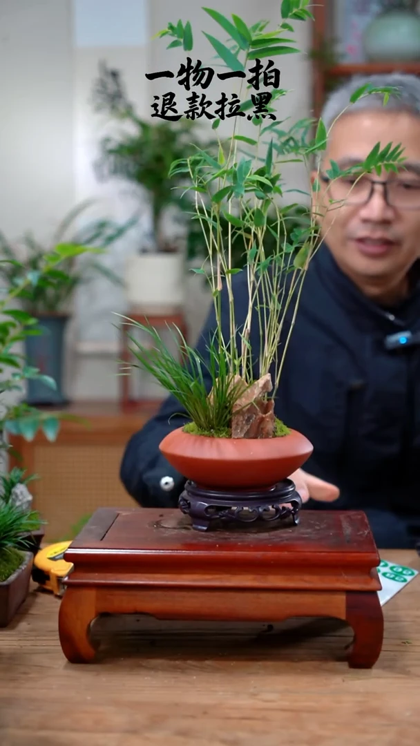 完全开放荷*76竹子