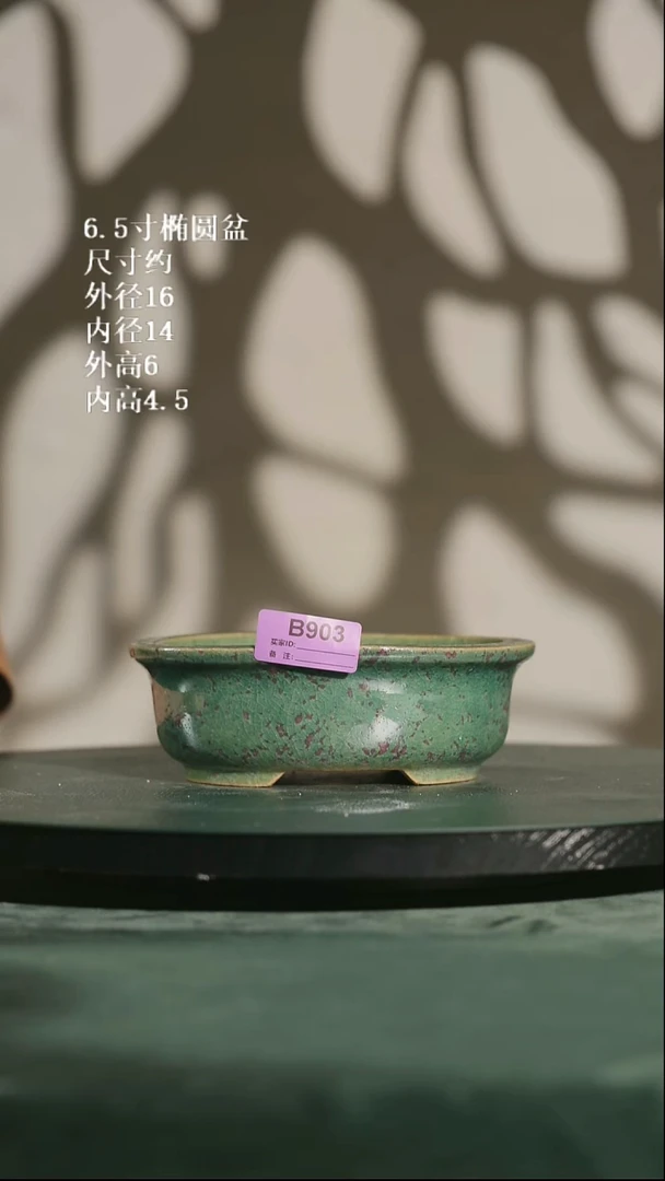 6.5寸椭圆盆  印制款903