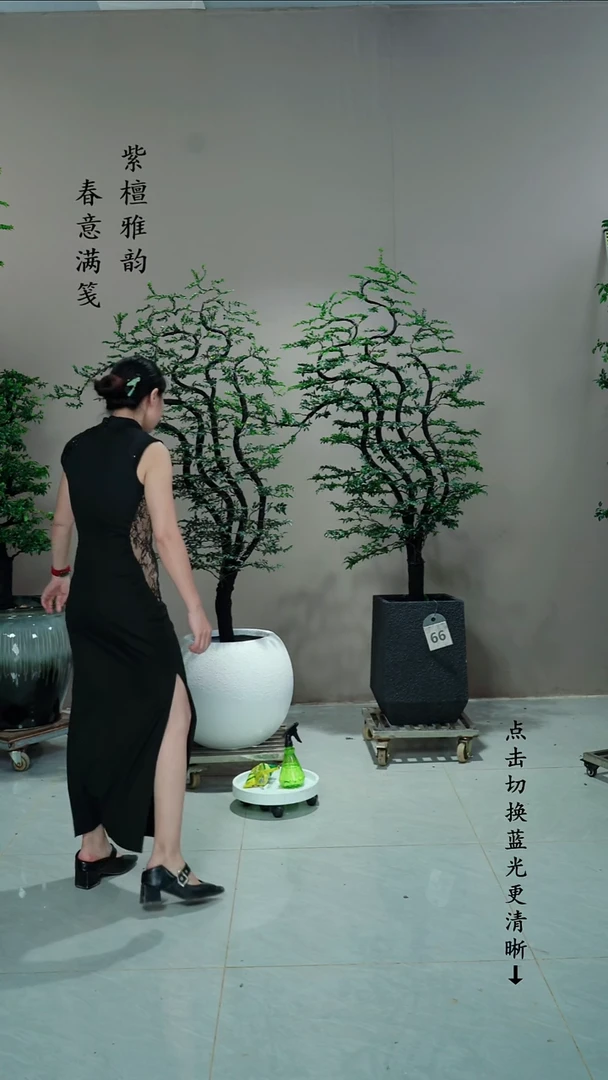 无花朵和*一对链接