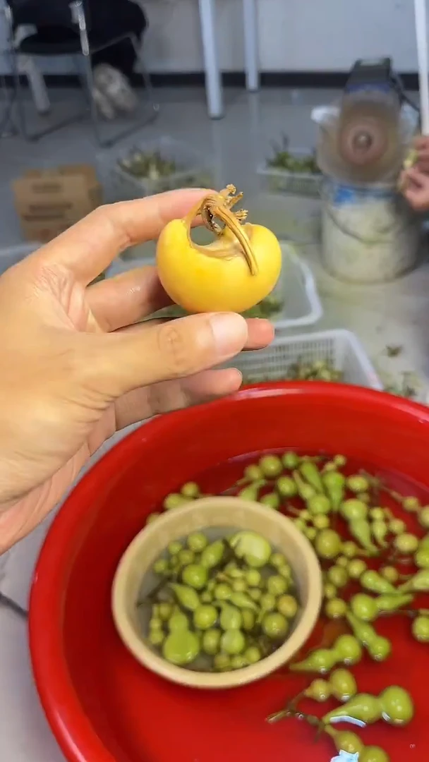 陌*人文玩葫芦摆件手把件腰子