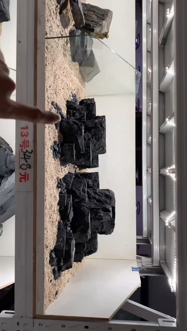 13号鱼缸造景（不含底砂）