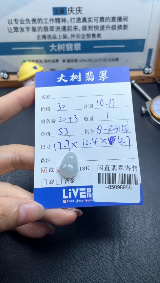 颈饰未镶嵌翡翠多人-85098955