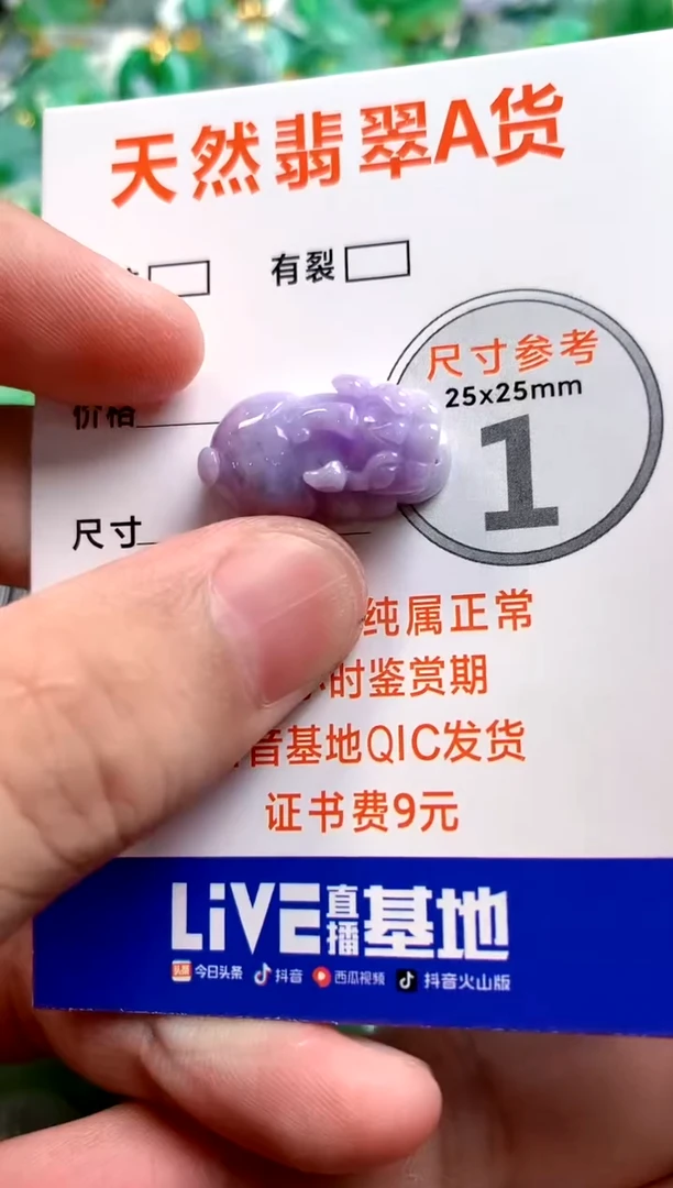 颈饰未镶嵌翡翠1053362623