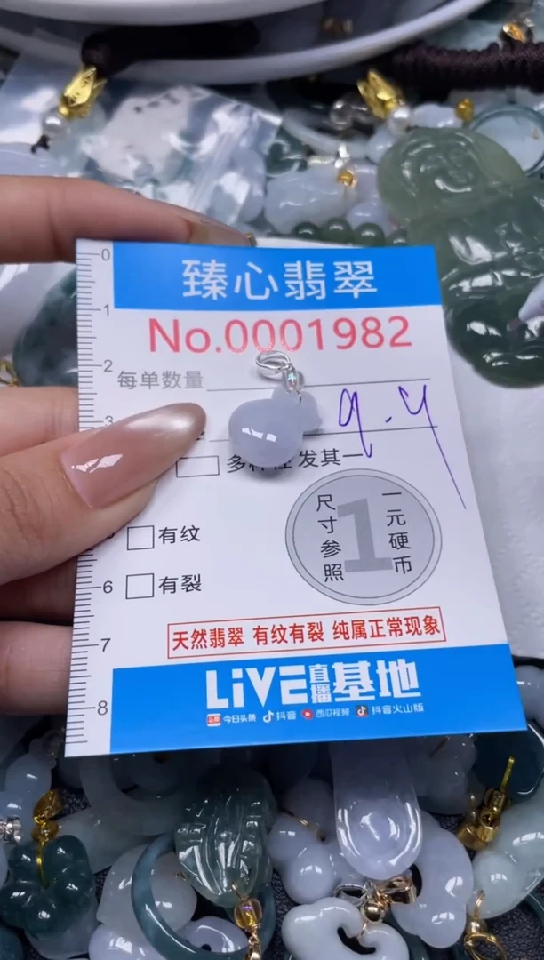 颈饰未镶嵌翡翠1982