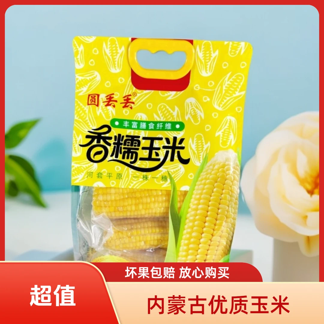 圆丢丢河套平原黄糯玉米【25年新玉米】