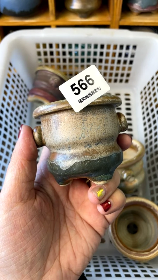 【闪购商品】陶566