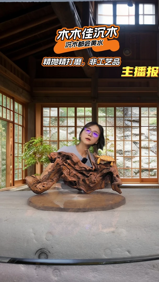 大****院木木佳沉木鱼缸造景551