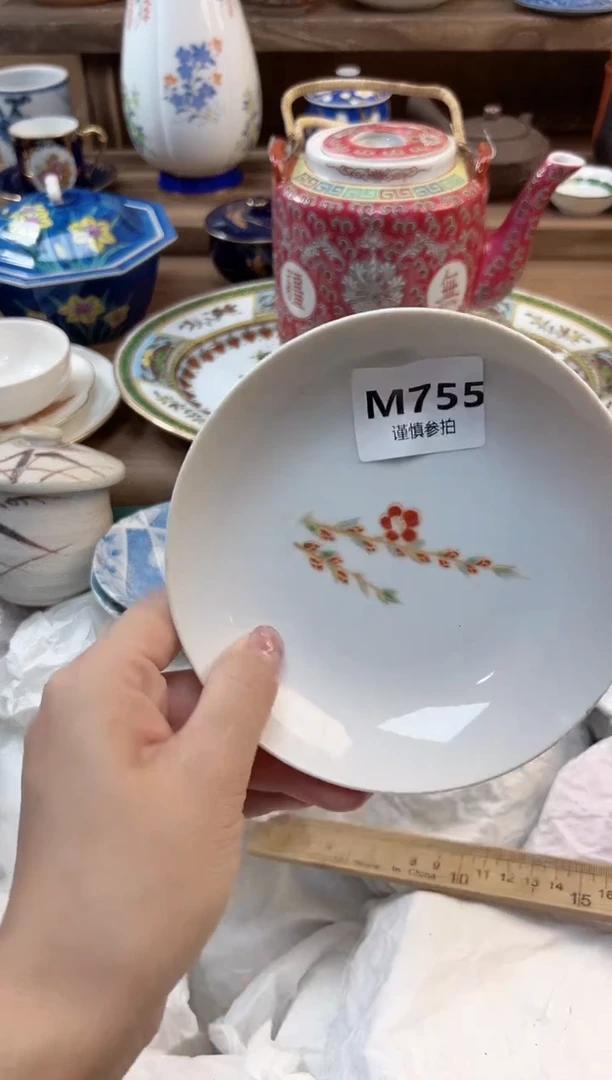 瓷片菌***猴 755