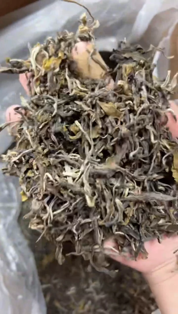 壶666号茶【白云推荐】猫1000克