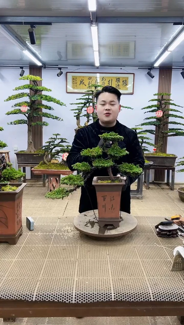 【闪购商品】000000000