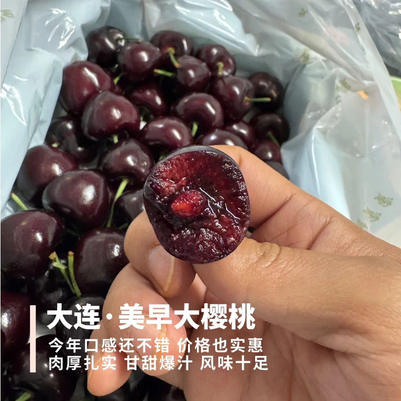 大连美早大樱桃肉厚多汁甘甜有风味高熟度空运JJ1.8斤