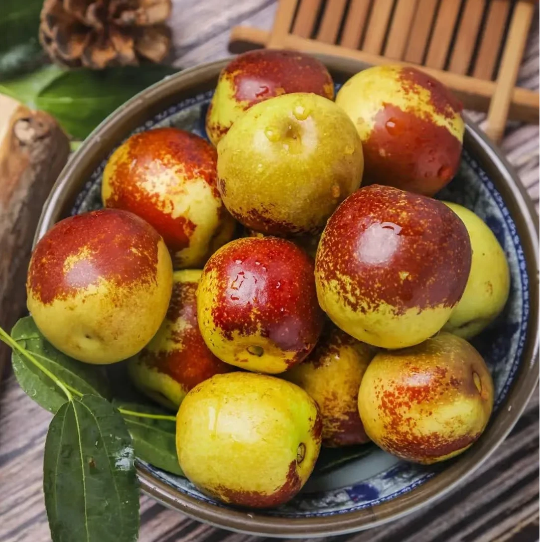 新鲜脆冬枣500g <8.28>