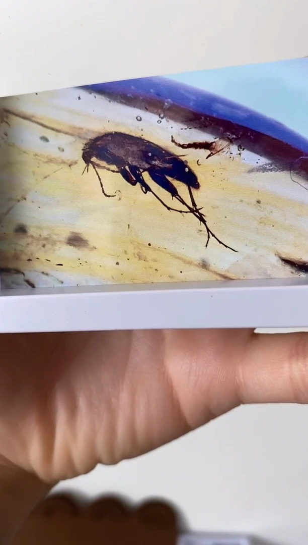 精美摆件创意礼物家居配饰新年礼物个人收藏