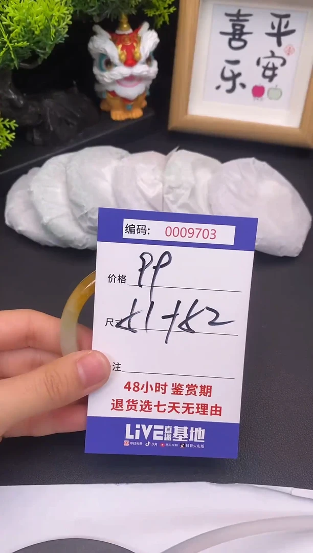 未镶嵌手镯翡翠0009703