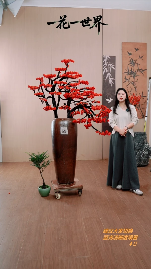 完全开放用****069号链接（送一颗桌面款紫檀）