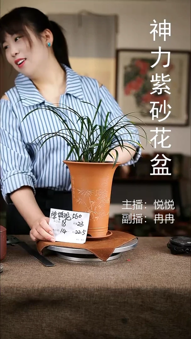 紫砂花盆紫砂花盆560+z