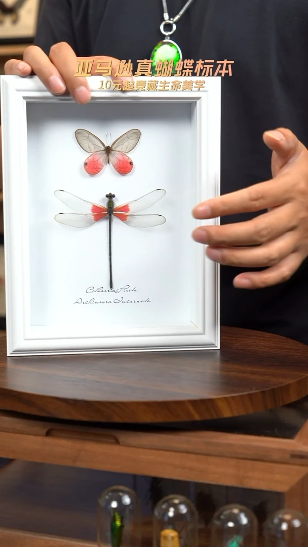 玫瑰绡+赤基组合8寸竖白框