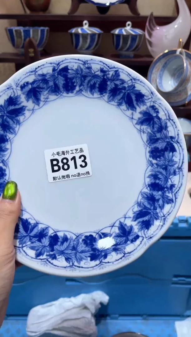瓷片玥           B813