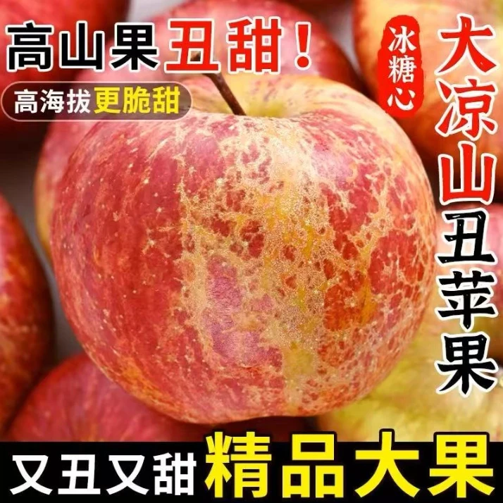云南正宗现摘昭通冰糖心丑苹果新鲜大凉山脆甜水果园地直发